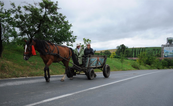 cavallo con rimorchio.png