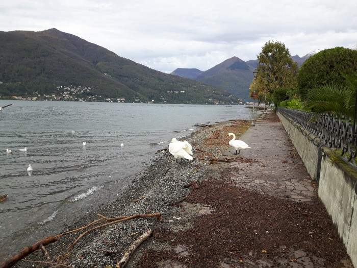 Livello alto del Lago Maggiore