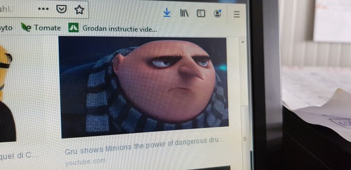 Gru