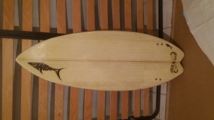 Tavola  ibrida simil skimboard