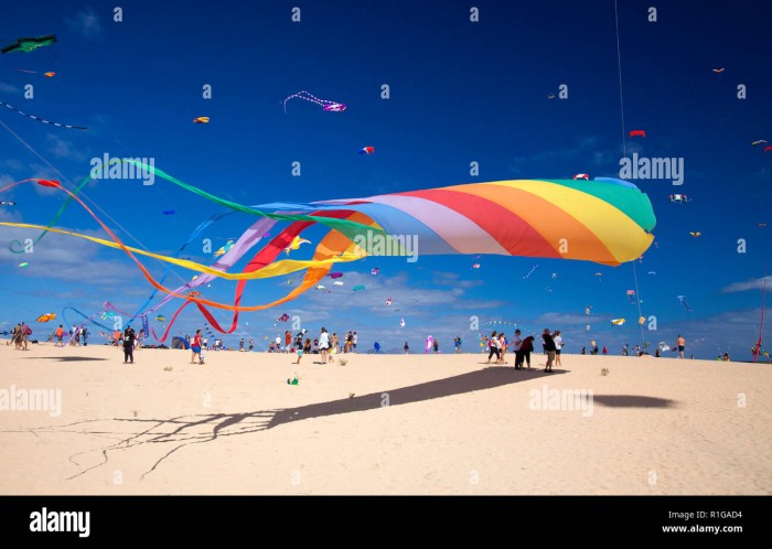 fuerteventura-spagna-10-novembre-visitatori-godere-bellissimo-display-di-aquiloni-di-a-31-international-kite-festival-novembre-10-2018-in-nat-r1gad4.jpg